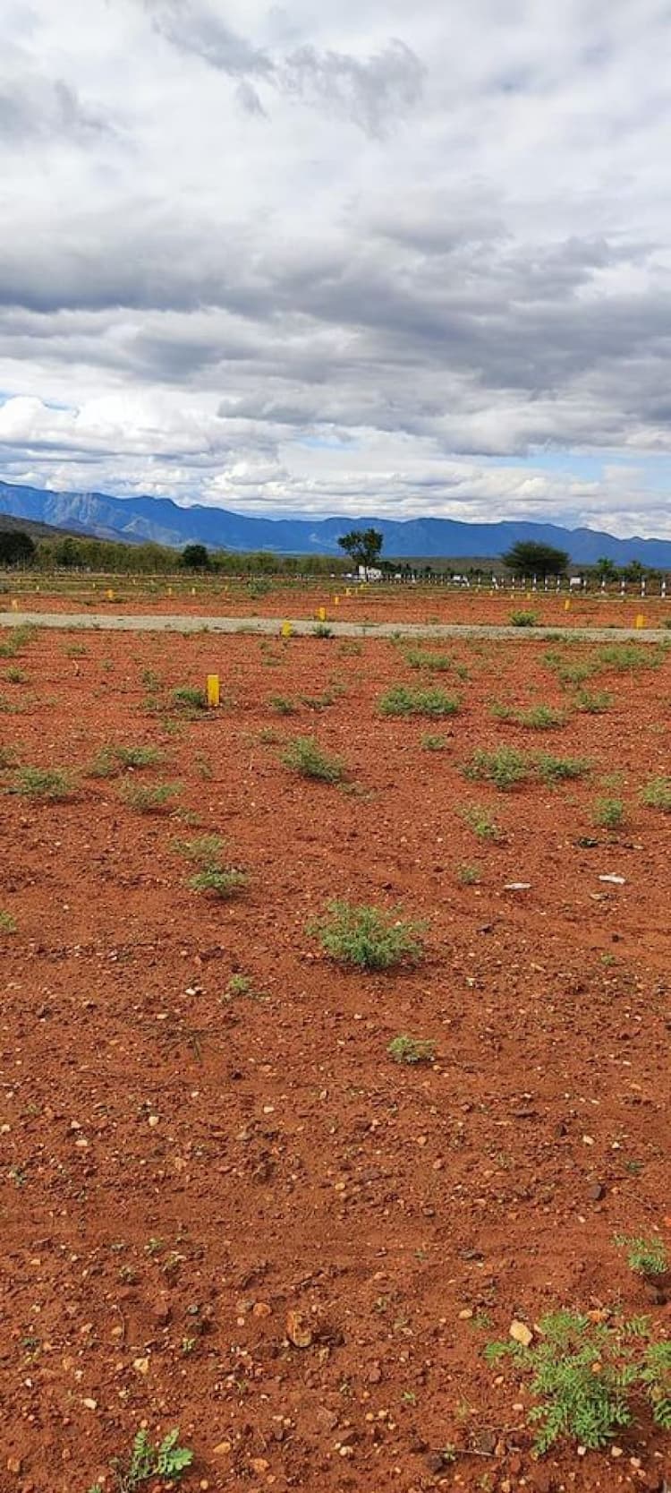 பாலாஜி அவென்யூ