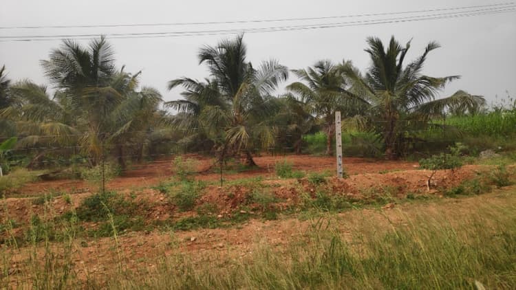 TCE near 2 acrs for sale