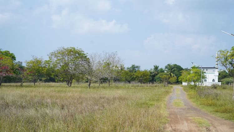 Single Property Image