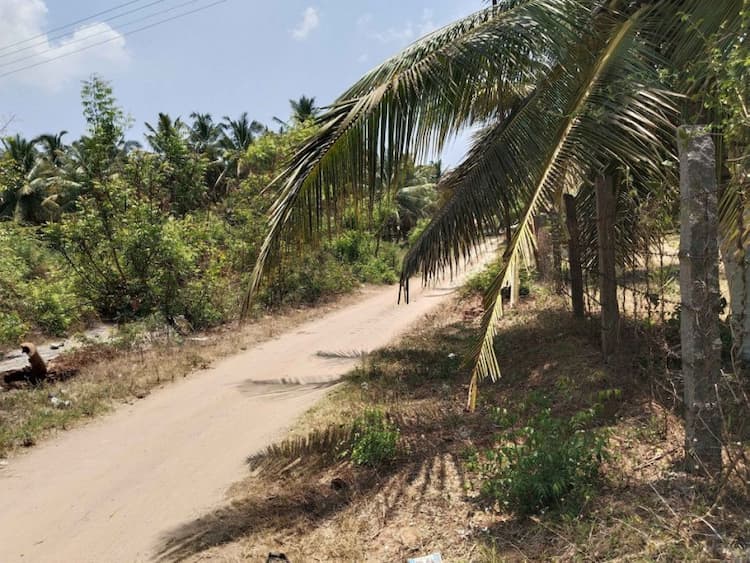 Single Property Image