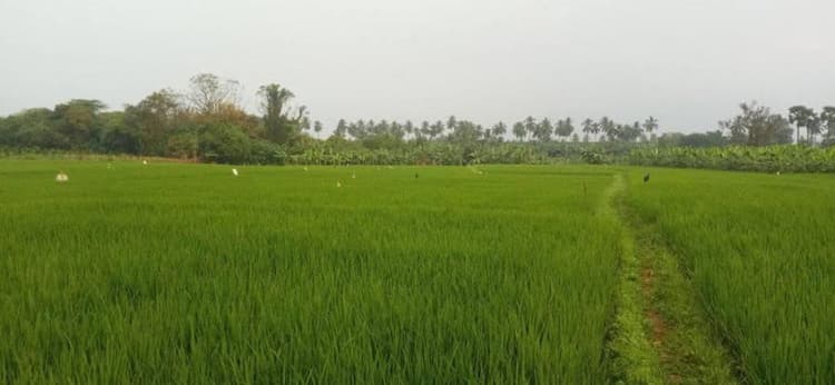 1.10 Acre land for sales