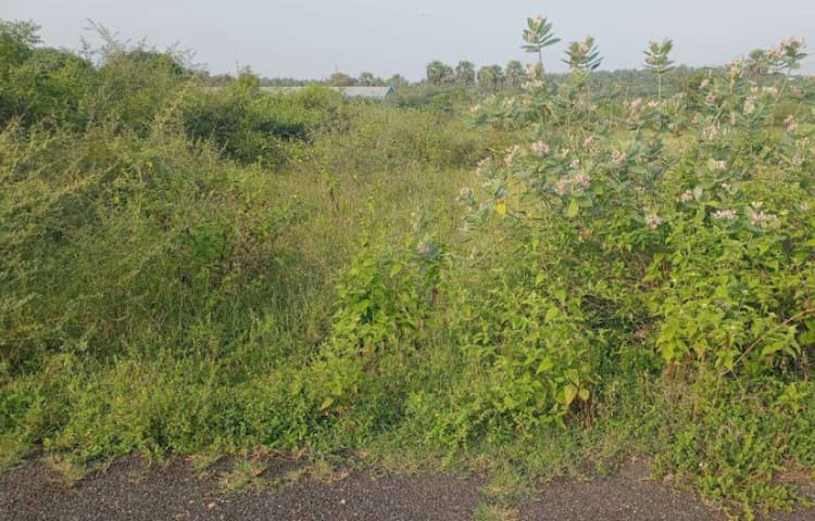 Single Property Image