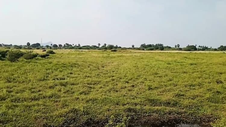 Land For Sales