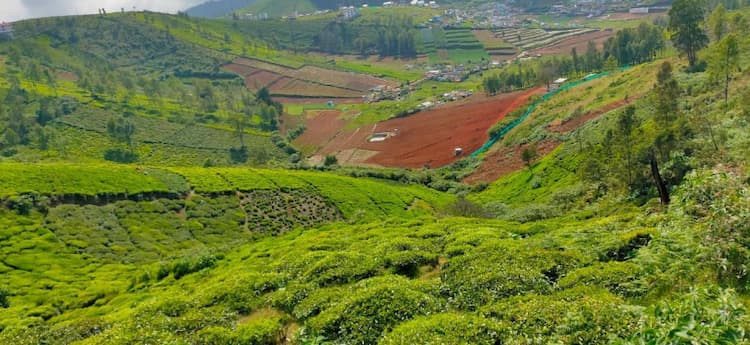 LAND FOR SALE IN OOTY OOTY LOVEDALE ROAD