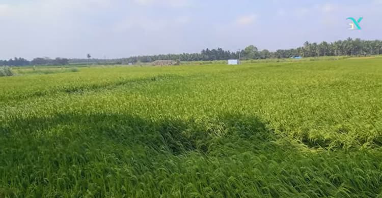 1.20 Acre Land for Sale