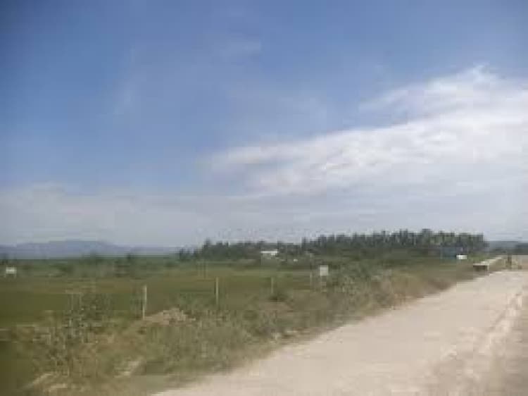 Plot sale