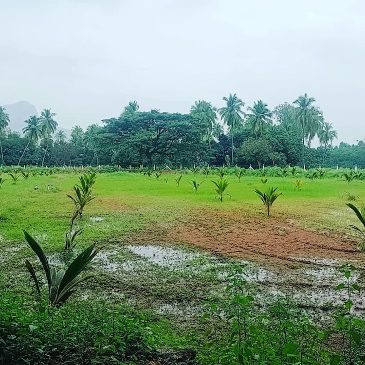 Single Property Image