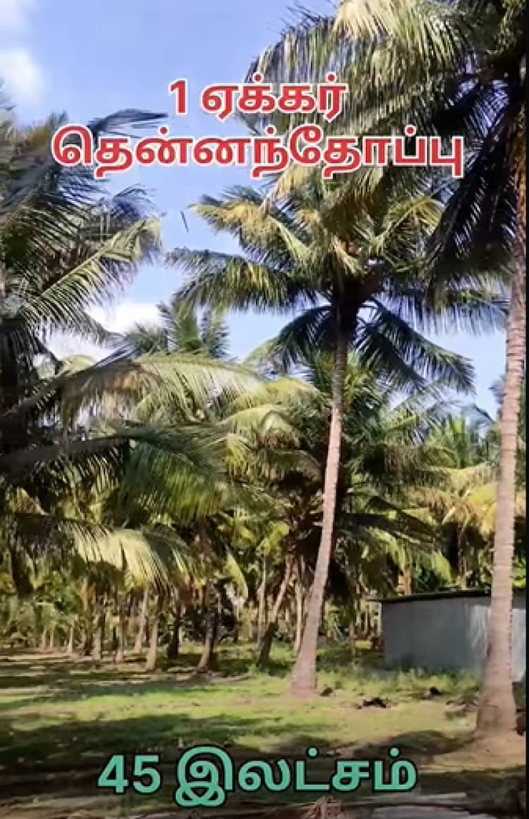 Single Property Image