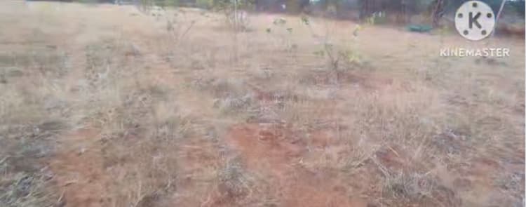 5.50 acre land for sales