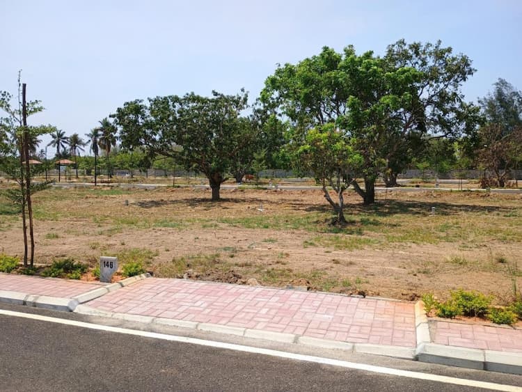 Residential Plot