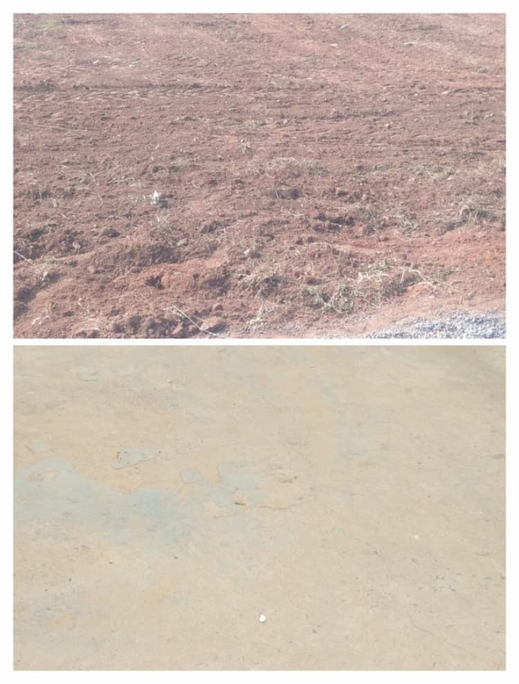 Pal Vinayagar Real Estate