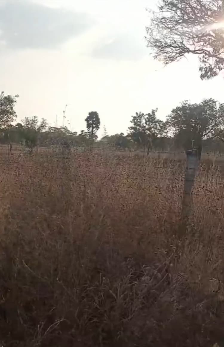 2 Acre Site Land for Sale