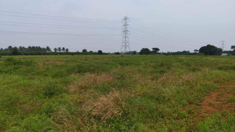 15 Acre Agriculture Empty Land for Sale