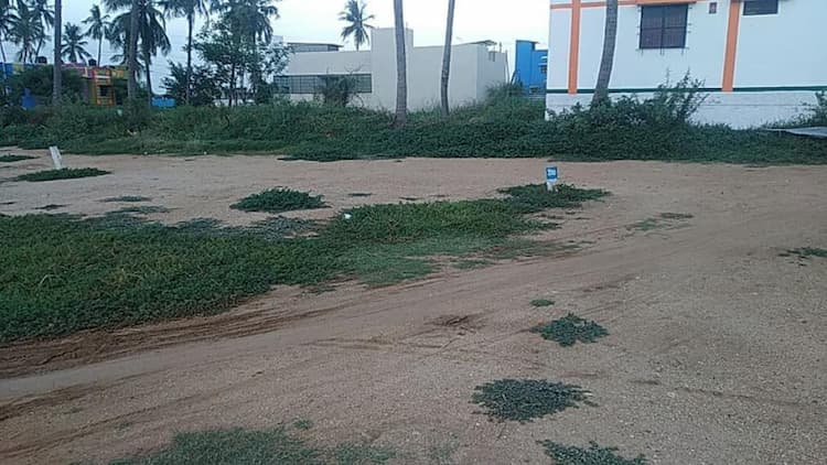 Plot for sale