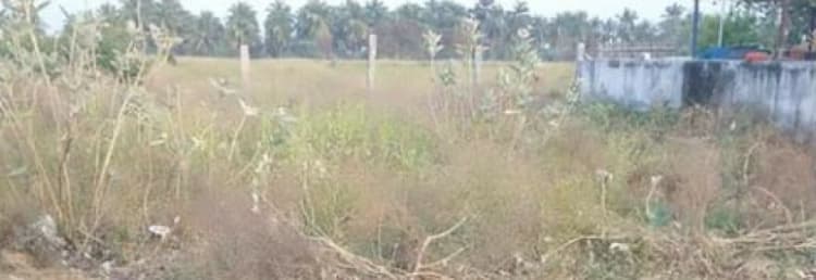 5 cent land for sales