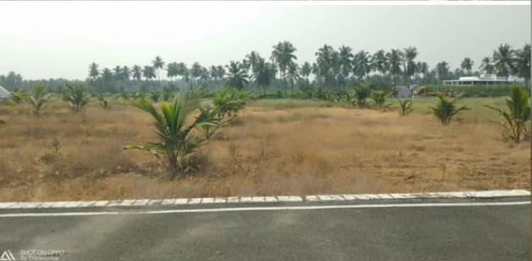 30 cents of land is for sale 