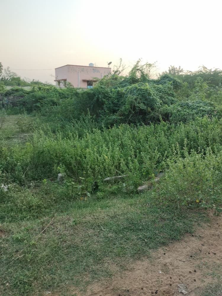 Single Property Image