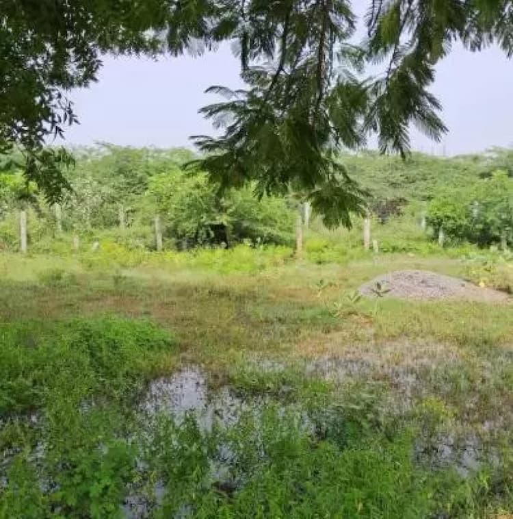Plot sale