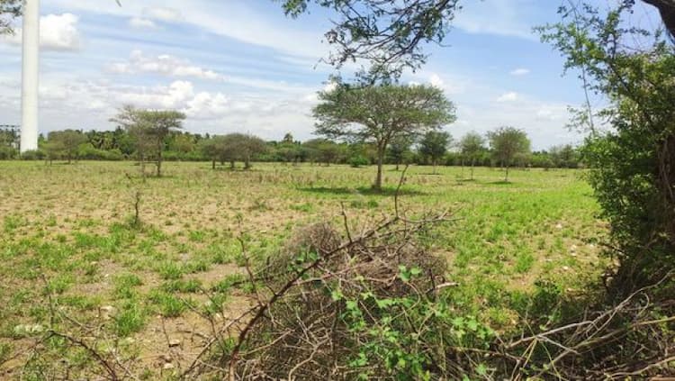 Single Property Image