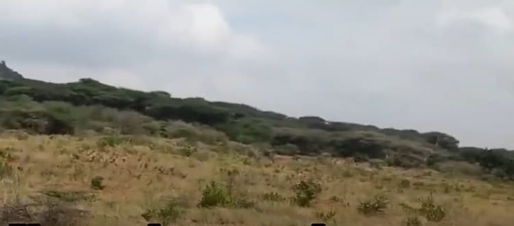 22 Acre land for sales