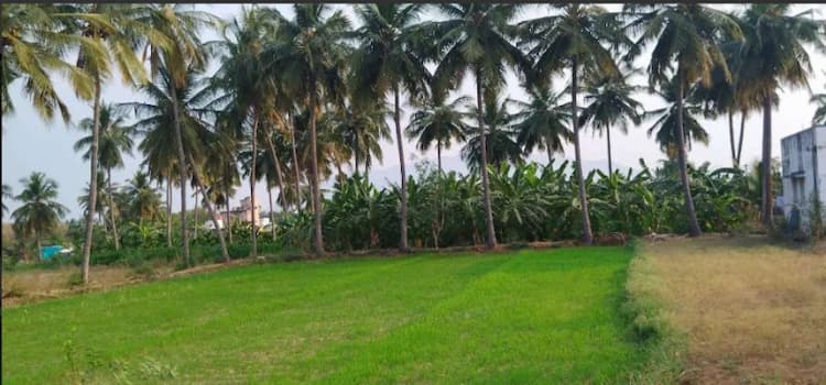 Single Property Image