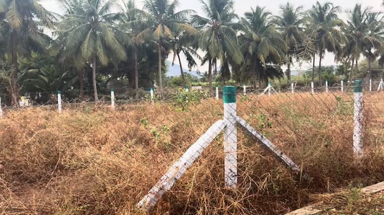 Single Property Image