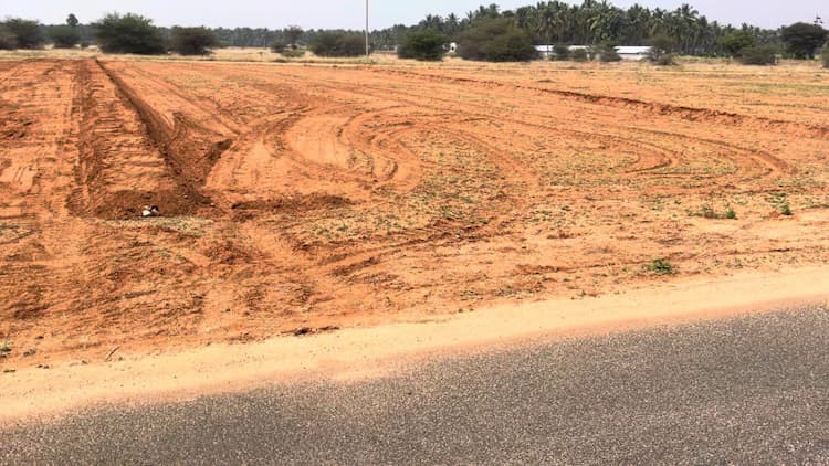 24 Cent Budget Land for Sale