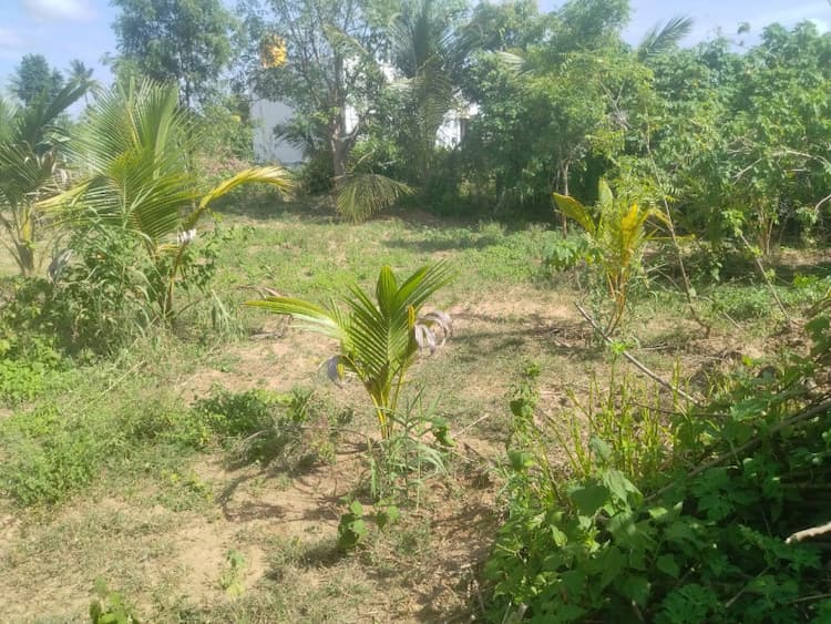 Single Property Image