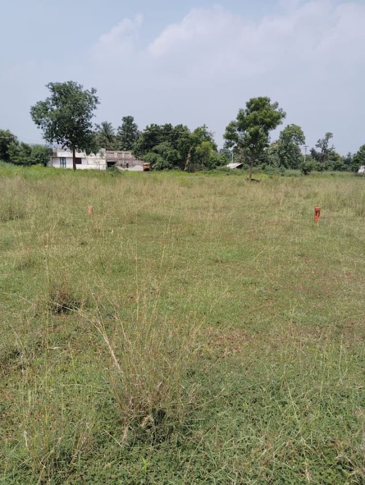 Plot for Sale in Walajapet