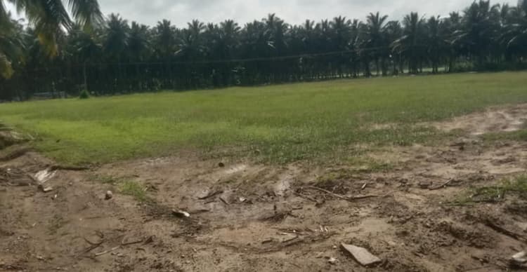 Land for Sale