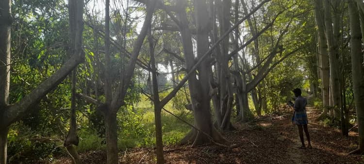 Single Property Image