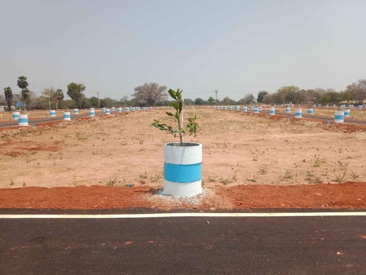 Plot sale