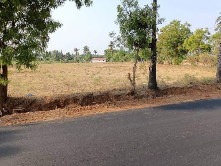 Dry Agri Land for sale
