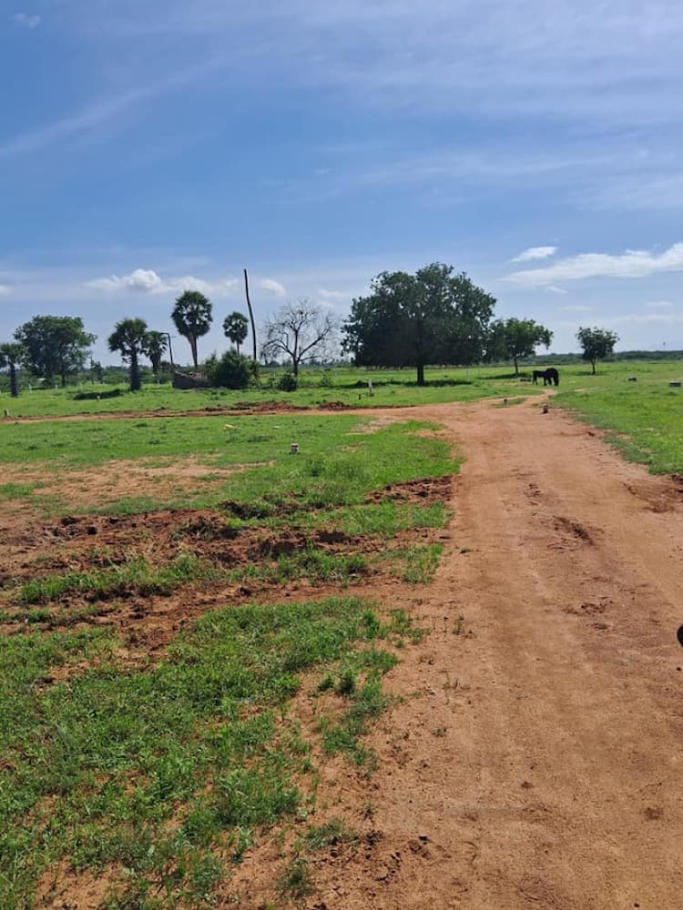 Single Property Image