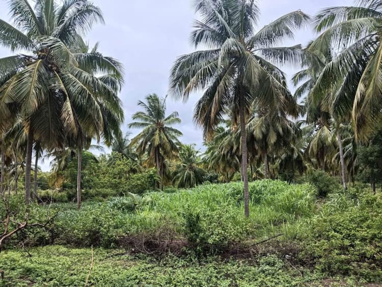 Single Property Image