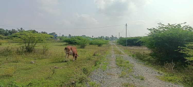 740 sq ft Plot for Sale