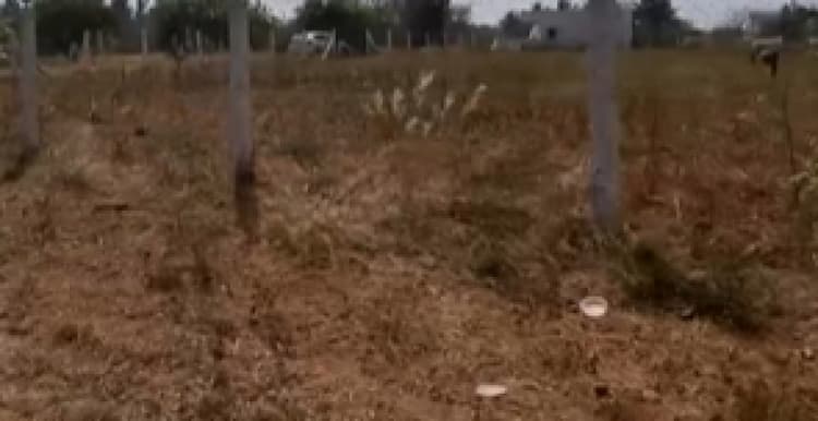 10000 sqft land for sales