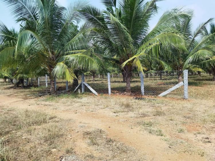 Road Side Plot for Sale