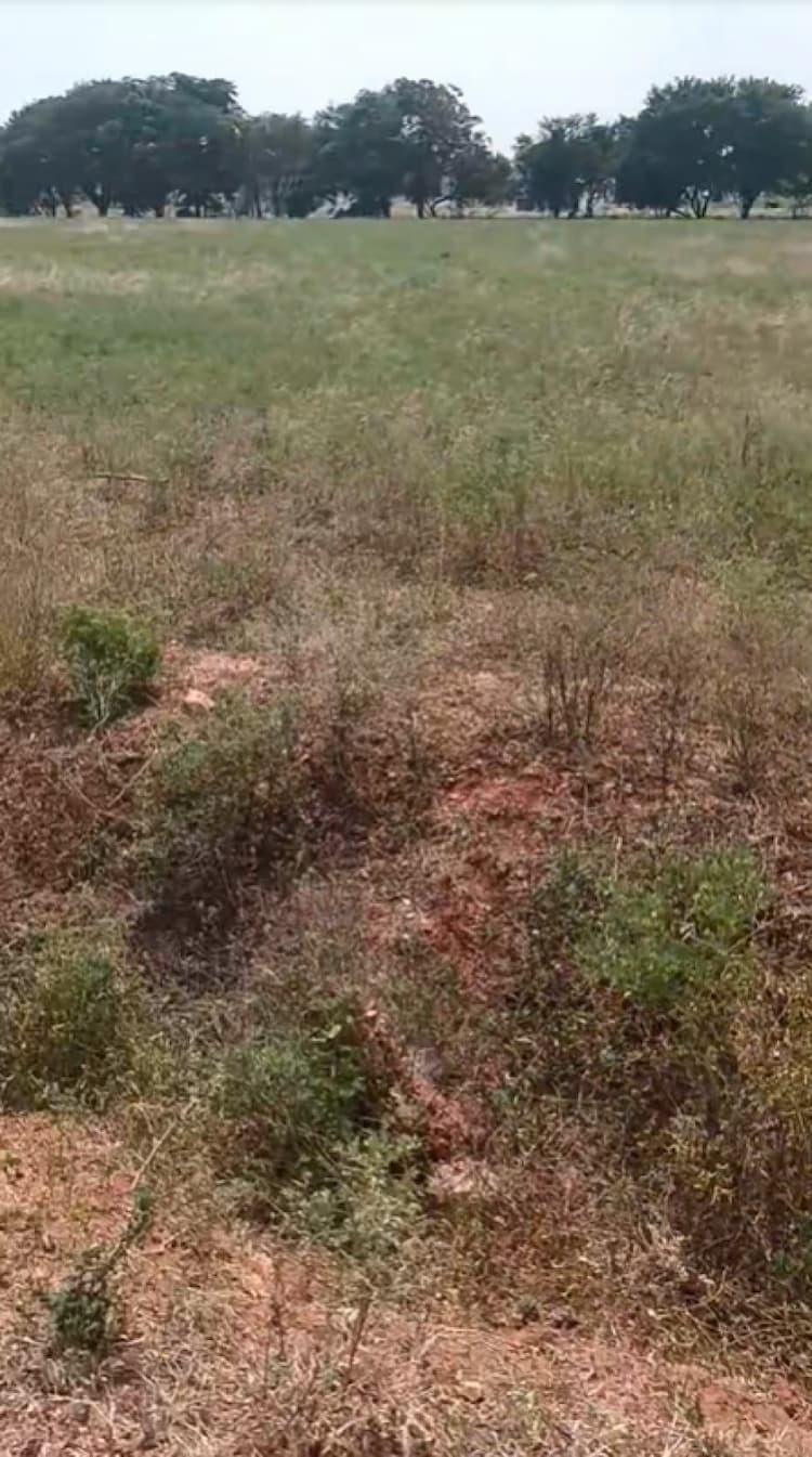 25 Cent Land for Sale