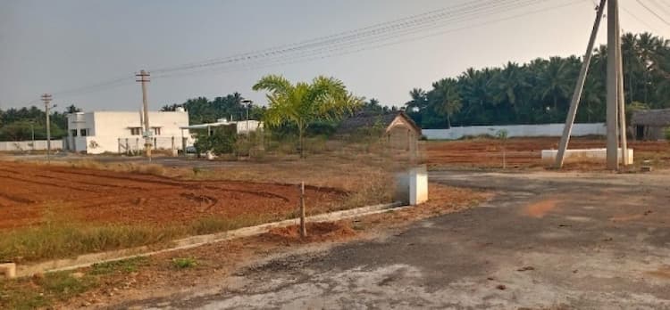 1584 sqft Plot