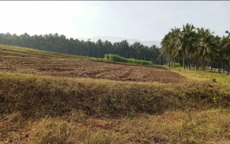 35 Cent Land for Sale