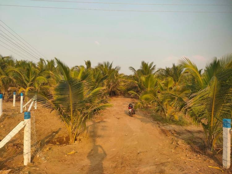 4 Acre Land for Sale