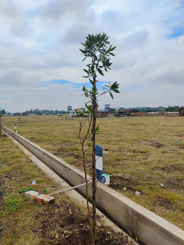 Single Property Image