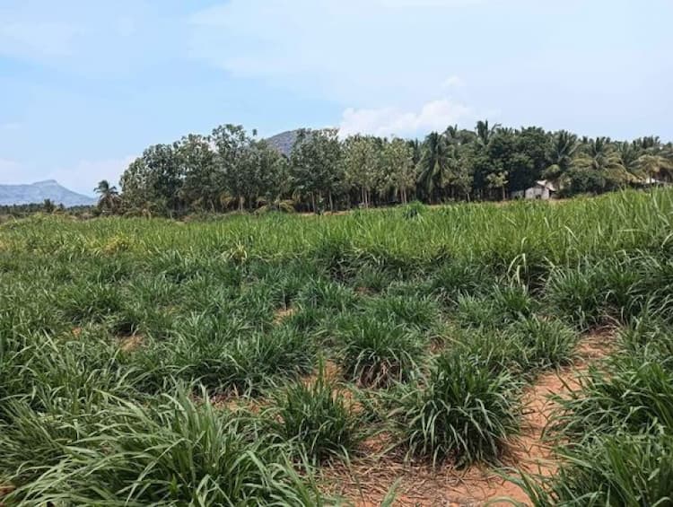 Single Property Image