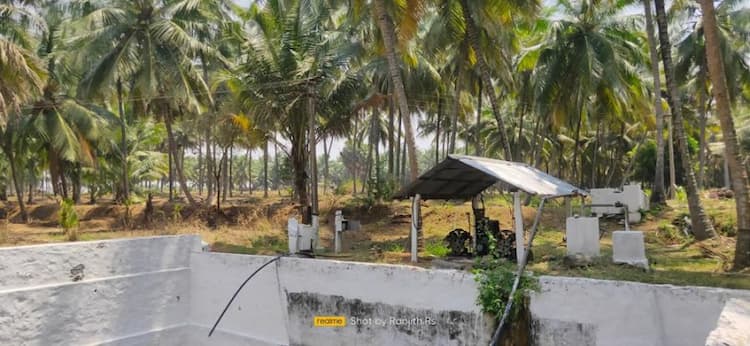 coconut farm land for sale