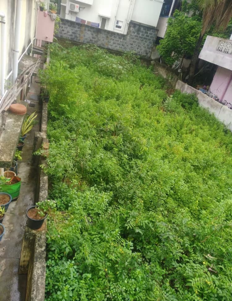 Single Property Image