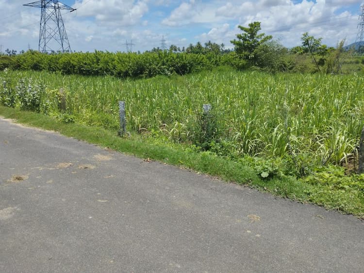 Farm land sale