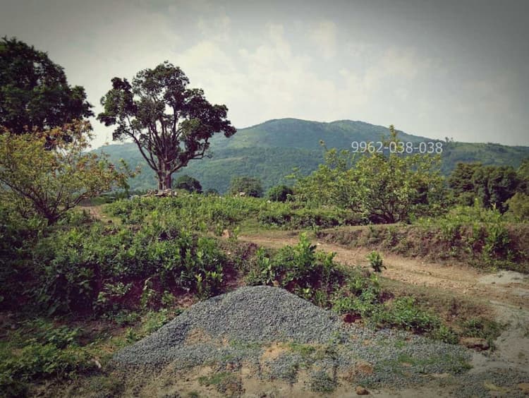 Single Property Image