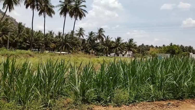 Low Budget Empty Land for Sale