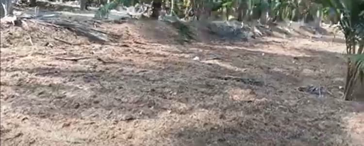 1.40 Acre Land for Sale